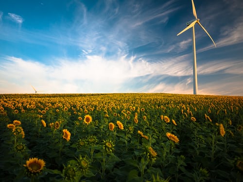How STAR Index™ helps with Supply Chain Risk in the Food Industry in a Sustainable Way.